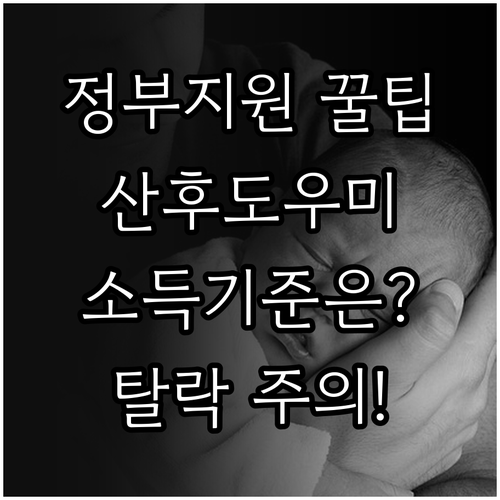 정부지원 산후도우미 소득 기준과 제외되는 경우