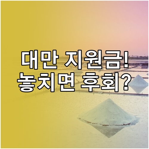 2026 대만여행 지원금 신청방법과 사용 조건