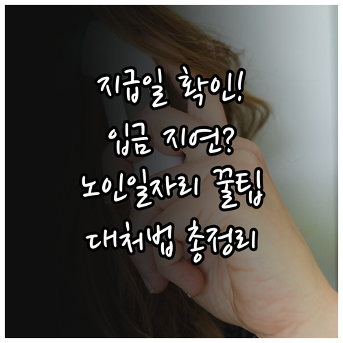 노인일자리 지급일 확인방법과 입금 지연 시 대처법